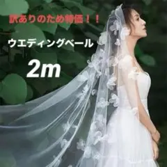 ウエディングベール 花嫁ベール ホワイト 結婚式 ウェディング チュール 訳あり
