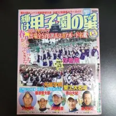 大谷翔平 藤浪晋太郎 夏の甲子園 特集号 パンフレット - メルカリ
