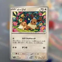 2026年最新】ポケモンカード イーブイ カラフルキャッチの人気アイテム