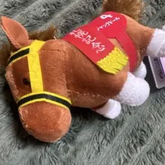 【　ジャックドール　】　サラブレッドコレクション マスコットBC29 ラスト1点