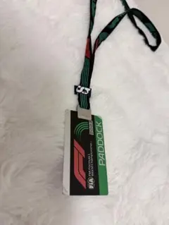 2026年最新】パドック パス f1の人気アイテム - メルカリ