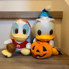 ドナルドダック ぬいぐる2点セット ディズニー
