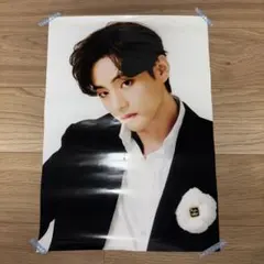 2025年最新】bts v テテ ポスターの人気アイテム - メルカリ
