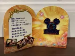 【未使用品】東京ディズニーリゾート　ドリームパーティー5周年　ピンバッジ