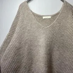 earth Vネックニット ベージュ FREE ゆったり