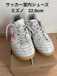 ミズノ　サッカー　小学生　室内履き　22.0cm