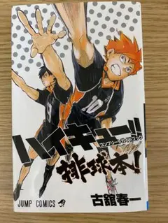 ハイキュー!! コンプリートガイドブック 排球本!