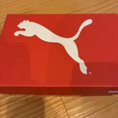 PUMA 20.0cm サマーシューズのサムネイル