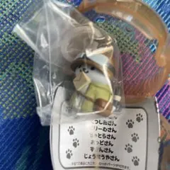 Item thumbnail for item 6e023cfc-6be8-4004-a4b2-e4b047eeb026