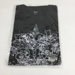 B'z 2018 HINOTORI Tシャツ　42251106P04N