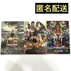RIZIN ポテトスティック 超RIZIN.2 BELLATOR 3枚セット