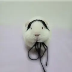 モルモット ぬいぐるみ ヘッドドレス ブラック 黒