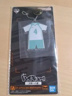 ハイキュー！！〜全国への道〜 岩泉一