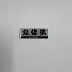 ✨1997年第52回国民体育大会記念章✨なみはや国体バッジ大蔵省造幣局