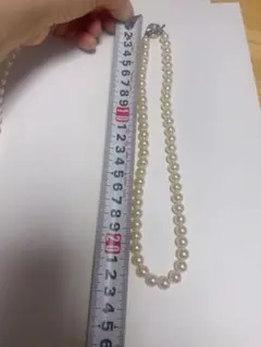 Item thumbnail for item 8b91719c-7cf5-4ae4-8a6e-57a824189fec