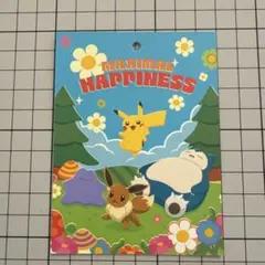 WiggleWiggle ポケモン パジャマセットのタグ 8*10.5