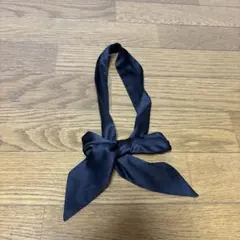 Item thumbnail for item bf47abef-24f6-4024-8abe-dd6c8901a4e1