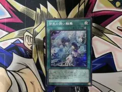 ウミガメ@プロフィール一読ください様 リクエスト 2点 まとめ商品