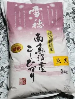 北海道産 ゆめぴりか 5kg&とちぎの星5kg - メルカリ