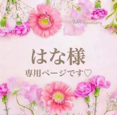 はな様 リクエスト 3点 まとめ商品