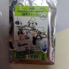 東京ヤクルトスワローズ内山壮真神宮グルメキーホルダーゼリースカッシュフロート