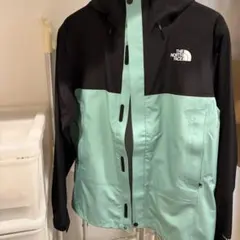 THE NORTH FACE マウンテンパーカー ブラック×ミント
