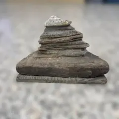 Item thumbnail for item 81aa862d-393f-4919-9029-20fbfc6af704