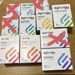 2025年最新】シナジーワールドワイドジャパン メガの人気