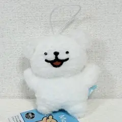 Maltese モルチーズ マスコット