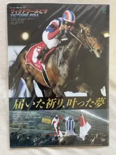 未開封】JRA サクラローレル ヒーロー列伝41 クリアファイル - メルカリ