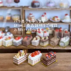 さち様専用 おやつ便 シフォンケーキサンド チーズケーキ テリーヌ