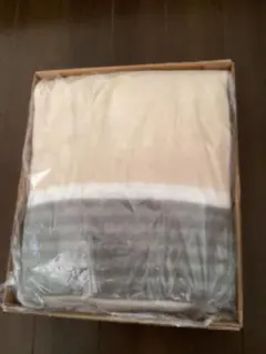 SHARP 電子コントロール毛布 140x85cm ダニアウト機能付き