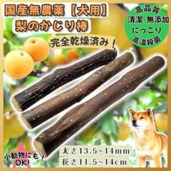 Item thumbnail for item bf250885-695d-4efd-b149-b06284bb5ffd