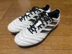 Item thumbnail for item 610b0416-64de-471c-aeb6-21d6223224bd