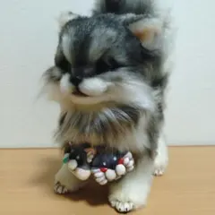 テリトルドール様　あざらちみぃ　アートドール　ぬいぐるみ Teritre Doll：テリトルドール｜フリマアプリ ラクマ