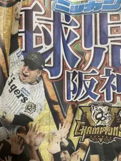 阪神タイガース 日本シリーズ 優勝特集 2025年