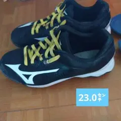 Item thumbnail for item 885073a9-f5d0-4783-b829-701f6dadb143