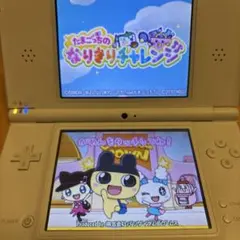 ニンテンドーDS たまごっちのなりきりチャレンジ