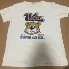 UCLA Tシャツ Lサイズ ホワイトのサムネイル