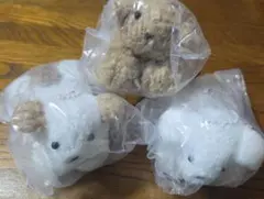 てのひらわんこのぬいぐるみ ブラウン ホワイト ホワイトmix