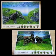 ADA ポスター　2枚セット ADA ポスター新品 2枚セット 2022 | AQUA DESIGN AMANO