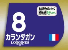 カランダガン　ミニゼッケン　ジャパンカップ　競馬