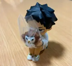 ハイキュー　かくれんぼ　シークレット　赤葦