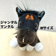 エイシンヒカリ イスパーン賞 アイドルホース 競馬 ぬいぐるみ ウマ娘