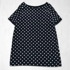 DRESSTERIOR ドレステリア 半袖チュニック ワンピース ファー ドットのサムネイル