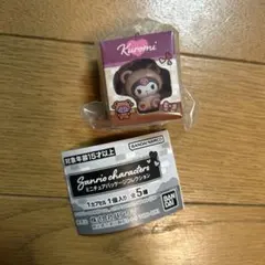 SANRIOキャラクター ミニチュアパッケージコレクション クロミ
