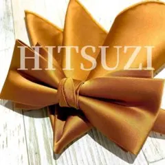 ○蝶ネクタイ　キャメル　チーフセット　挙式　披露宴　地　高級感　Txs