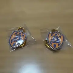 Jリーグ メタルチャーム 清水エスパルス