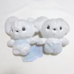 ポケットモンスター ポケモン ふわふわ抱きぬいぐるみ ワッカネズミ