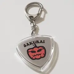 AMEFURASSHI グッズまとめ売り 生写真 キーホルダーおまけ付き まとめ売りAMEFURASSHI グッズセット キーホルダー 生写真 | Mercari